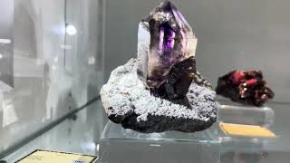 Munich Minerals expo 2024 gemshow gemworld crystals nature naturelovers [upl. by Munsey642]