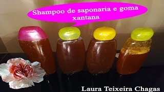 Como Fazer Shampoo de saponaria e goma xantana [upl. by Rudy]