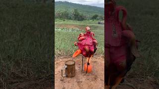 Survival Skills steam bad water in Dragon fruit camping outdoors bushcraft useful [upl. by Deppy]