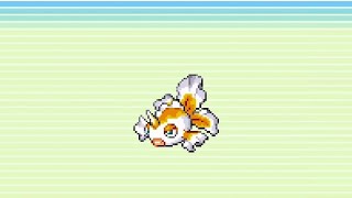 🌟 Shiny Goldeen evolution  Pokemon Emerald Pokedex No 050  051 [upl. by Liddie]