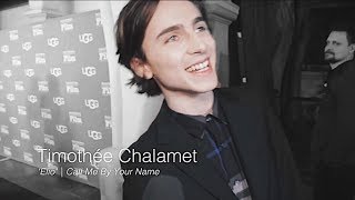 Timothée Chalamet  Sweet Tea [upl. by Wenger]