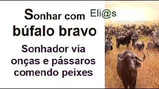 SONHAR COM BÚFALO BRAVO  ONÇAS  AVES COMENDO PEIXES  LAGO interpretação [upl. by Boykins]