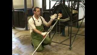 Using a Calf Jack [upl. by Olga]