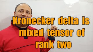 kronecker delta is mixed tensor of rank two tensor algebra bsc Msc maths in hindi by Hd sir [upl. by Antin]