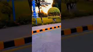 NUML university foryou medicalstudent explorethebeautyofpakistan viralvideo university doctor [upl. by Nal]