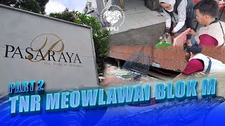 HAP❗️ Lalu Tertangkap❗️❗️😼  Keseruan Tangkap Kucing di Meowlawai Blok M Part 2 [upl. by Seuqram939]