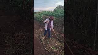 Dalosan umona sa molaan cleaning farming [upl. by Urbannal527]