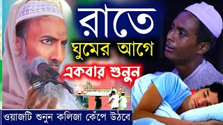 রাতে ঘুমানোর আগে একবার শুনুন  পীরজাদা আবু তাহের সিদ্দিকী  Abu Taher Siddiqui waz  Koborer Ajab [upl. by Aicilana]