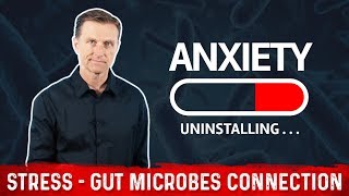 The BrainGut Connection Anxiety amp Stress Coming from Missing Gut Bacteria – DrBerg [upl. by Calli]