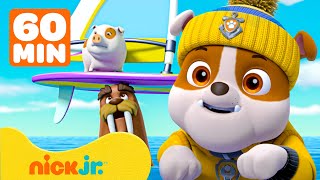 Paw Patrol  ¡Rubble de PAW Patrol está de racha rescatando animales SALVAJES  Nick Jr en Español [upl. by Kcirrej]