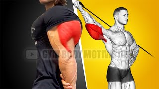 Best Triceps Workout at Gym with Cable Only [upl. by Roeser]