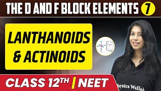 The d and f Block Elements 07  Lanthanoids amp Actinoids  Class 12thNEET [upl. by Camellia812]