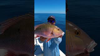 MaritimeExpeditions COPS Wanted MY FISH patchreef floridakeys [upl. by Kucik991]