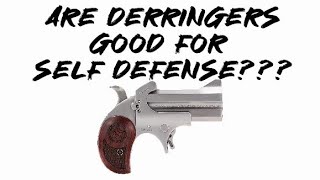 Are derringers good for self defense [upl. by Nevuer]