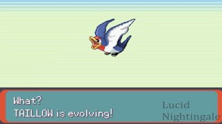 Pokemon Emerald Taillow Evolves To Swellow [upl. by Balliett]