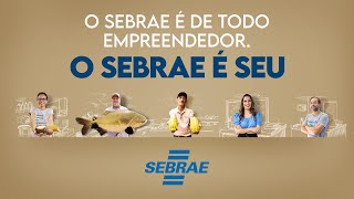 O Sebrae é Seu [upl. by Hnim]