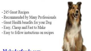 nature s recipe vegetarian dog food [upl. by Eledoya]