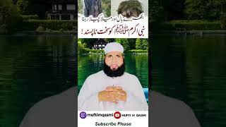 Mela Kuchela Rehna Huzur ko Napasand h seeratunnabiﷺ viralvideo shortvideo [upl. by Olihs]