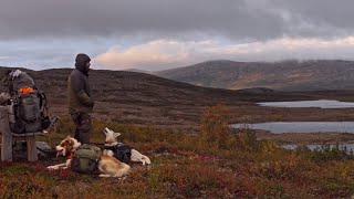 Et år på loffen 2 En siste smak av sommer [upl. by Aicnelev]