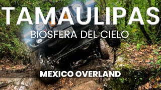 TAMAULIPAS ¡Destrozamos los autos offroad en la Biosfera del Cielo [upl. by Htabmas]