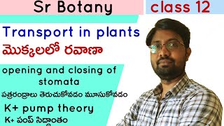 Opening and closing stomataపత్రరంద్రాలు తెరుచుకోవడం మూసుకోవడం Transport in plants class 12 [upl. by Eam]