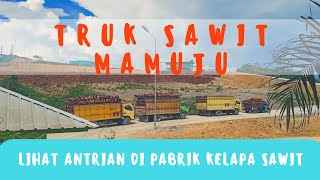 Antrian dipabrik kelapa Sawit  PKS yg ada di Sulawesi barat [upl. by Aicilaanna]