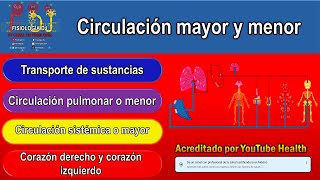 Circulación menor y mayor  Circulación mayor y menor  Circulación menor y mayor del corazón [upl. by Annaillil884]