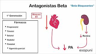 Antagonistas alfa y beta adrenérgicos  Farmacología [upl. by Tatiania285]