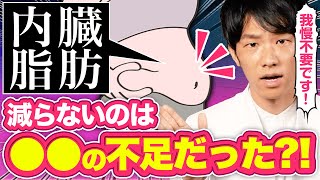 何をやっても内臓脂肪が減らない原因は●●不足！内臓脂肪を消す栄養素と食べ物を解説【管理栄養士が解説】 [upl. by Haram]