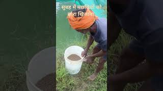 How to grow fish farming bhojpuri song [upl. by Groome]