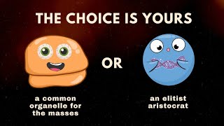 Reliable Ribosome  The ONLY Candidate for President [upl. by Hteb]