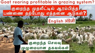 Goat rearing profitable in grazing system Successful goat farm in Tamilnadu [upl. by Ashlin960]