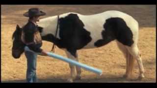 Horse Training The Best way to Desensitize a Horse Part 1 of 3 with Mike Hughes Auburn California [upl. by Slocum132]