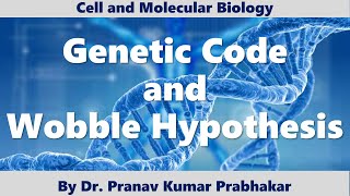 Genetic Code and Wobble Hypothesis CSIR GATE pkprabhakar [upl. by Dorcea457]