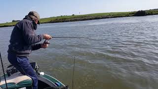 Meerval op de Nederlandse IJssel eindelijk Deel 1 [upl. by Lawford]