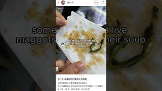 Maggots found in Chinese soup restaurant [upl. by Limak]