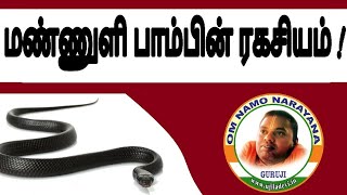 மண்ணுளி பாம்பின் ரகசியம்   ujiladevi tamil [upl. by Izogn]