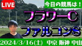 今日の競馬は中京・阪神・中山！ファルコンSとフラワーCの日！2024316土 [upl. by Naillimxam399]