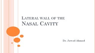 Lateral wall of the Nasal Cavity Detailed Anatomy of the Nose and Nasal Cavity 22 [upl. by Tiduj]