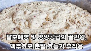 탈모예방 끝판왕 맥주효모 효능과 부작용 [upl. by Ennaxxor]