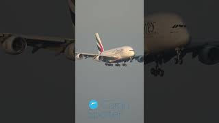 Airbus A380 LANDING [upl. by Falcone402]