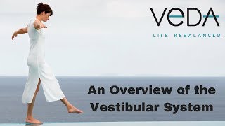 An Overview of the Vestibular System [upl. by Richie]