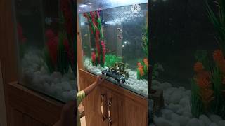 Yaqzan fish Aquarium dekh ker ghar jane ke liye tyar hi nhiyoutubeshorts shortsminivlog [upl. by Ahsatak]