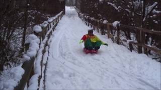 trineos en la nieve  sleds in the snow [upl. by Celik]