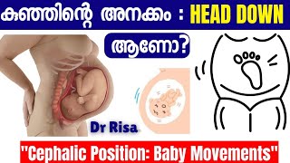 Cephalic Position  Baby Movement Explained in Malayalam  FetalKick [upl. by Daegal]