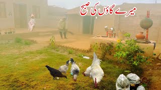 Mere Gaon Ki Subah I Pakistan Village Life I Mud House I Village Women Morning Routine [upl. by Sivrad17]