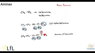 Aminas Química Orgánica [upl. by Trixi999]