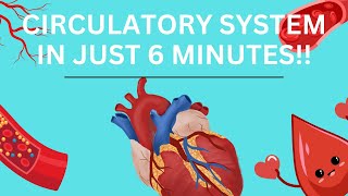 Circulatory System Breakdown  Diseases Episode 1 [upl. by Maziar48]