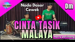 Cinta tasikmalaya karaoke  Harry parintang nada cewe Dm versi bajidor [upl. by Ahsircal710]