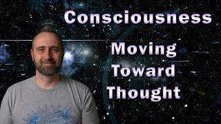 Consciousness  Moving Toward Thought [upl. by Nottage]